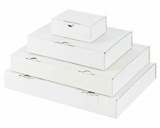 Maxibriefkarton und Warensendung Versandkarton, 235x155x46 für Din A5, weiß