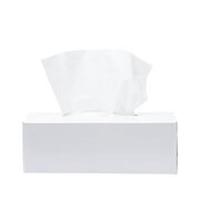 Ecoline Kosmetikt�cher 100% Zellstoff 2-lagig, 35 Boxen je 100 Stk. = 3500 Stk.