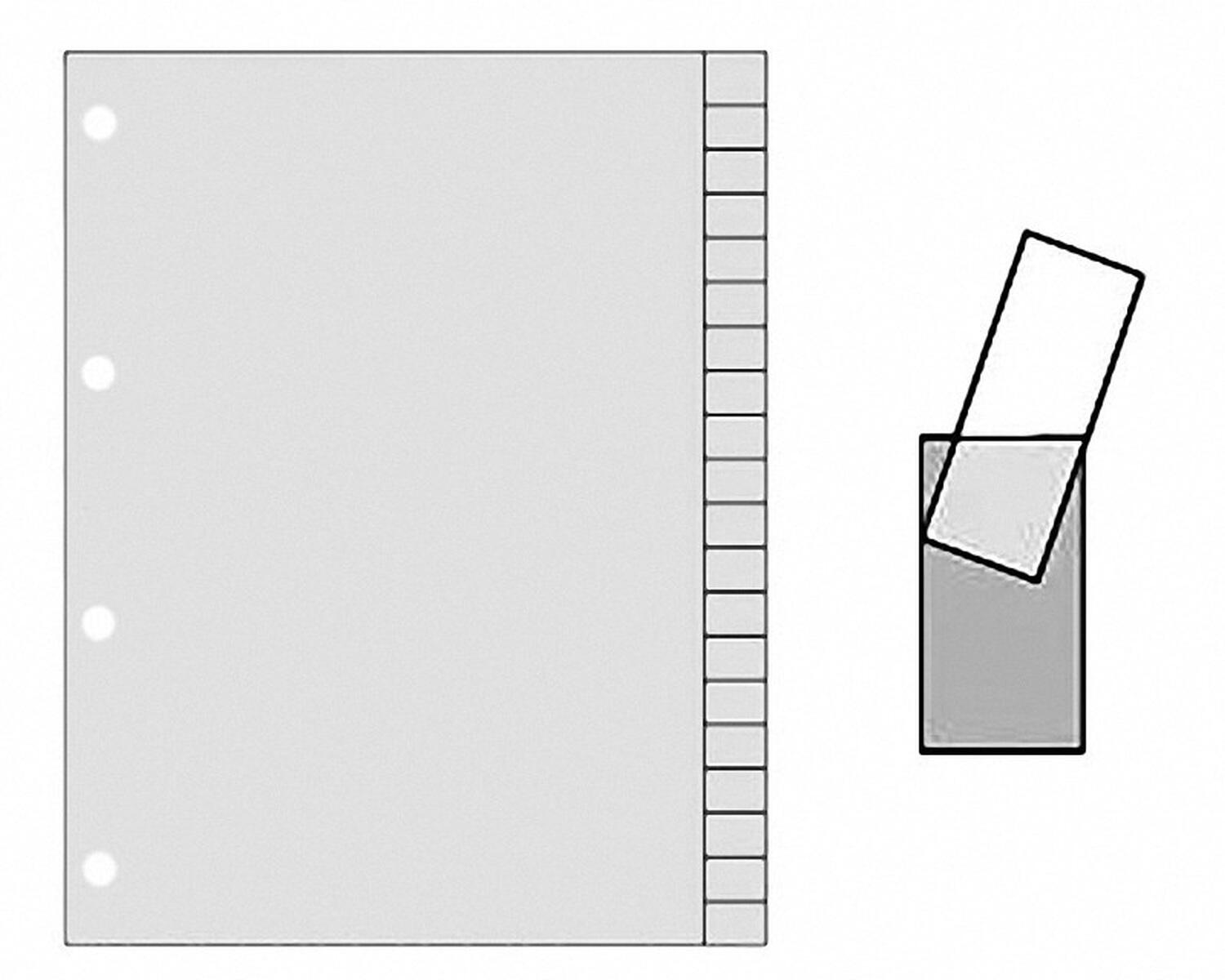 Ordnerregister A4 Blanko, 20 Registerblätter zum Selbstbeschriften