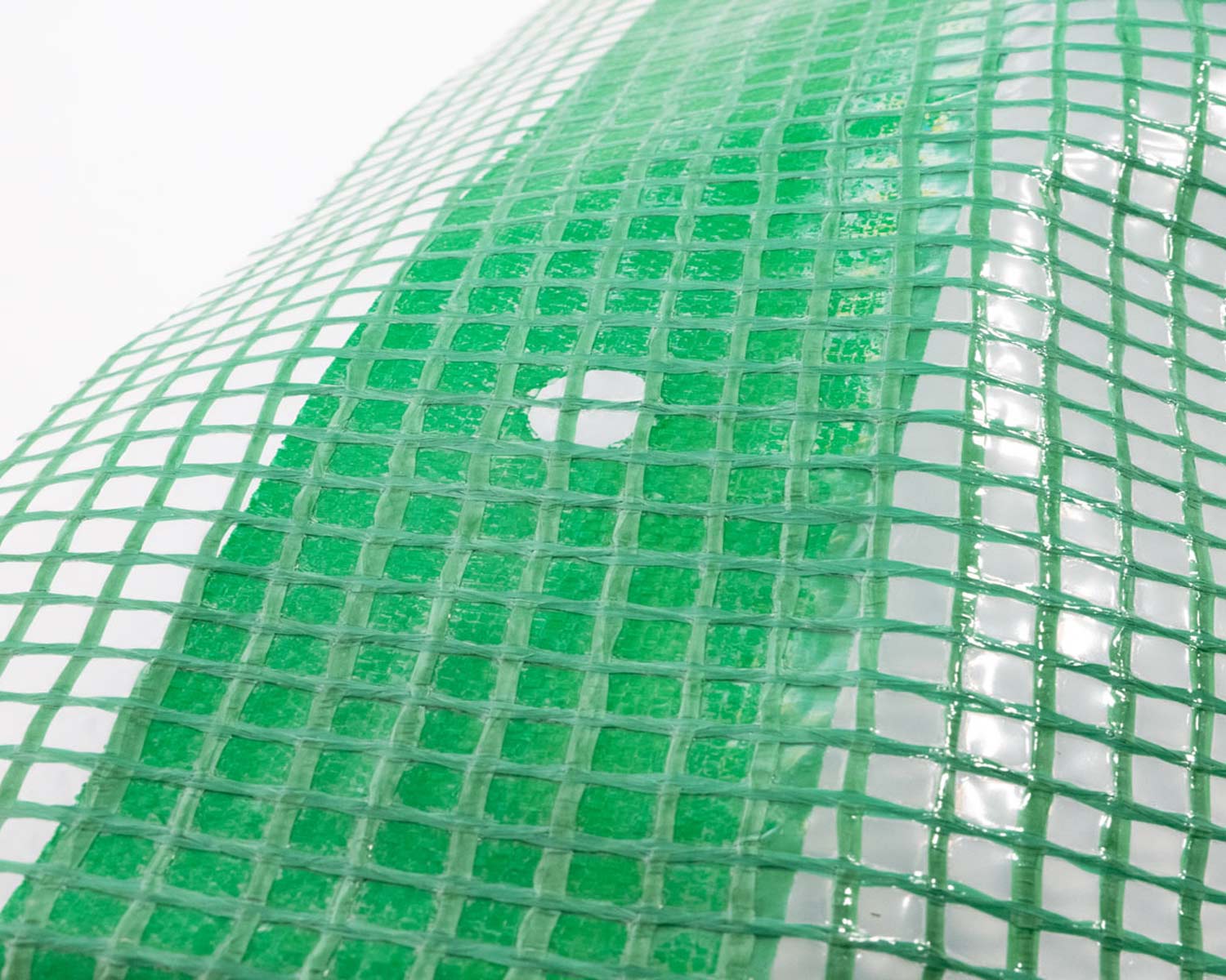 Gitterplane Gitterfolie 4 x 4 m transparent grünes Gitter Nagelrand verstärkt