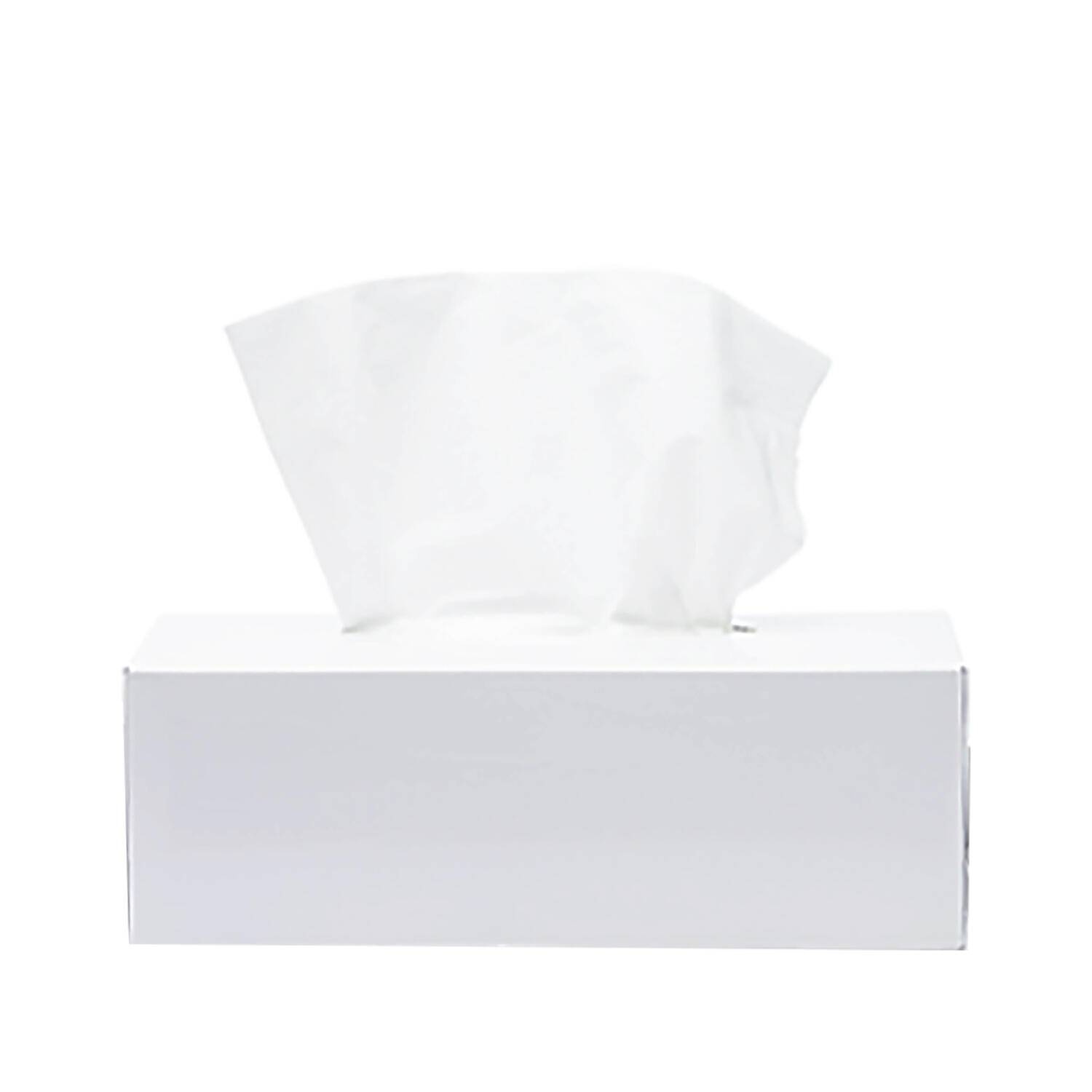 Ecoline Kosmetikt�cher 100% Zellstoff 2-lagig, 35 Boxen je 100 Stk. = 3500 Stk.