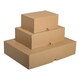 Stlpdeckelkarton DHL-Kleinpaket 241x160x80mm (Auenma) braun wiederverwendbar